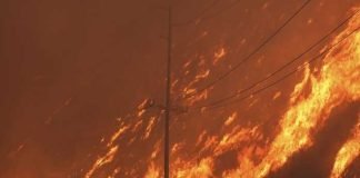 লস অ্যাঞ্জেলেসে নতুন করে দাবানল