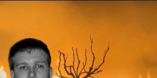 দাবানলে প্রাণ হারালেন ররি স্কাইজ