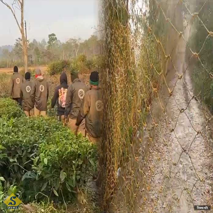 মৈপীঠ-পুরুলিয়ায় রয়্যাল বেঙ্গল আতঙ্ক, ডুয়ার্সে হাতি   