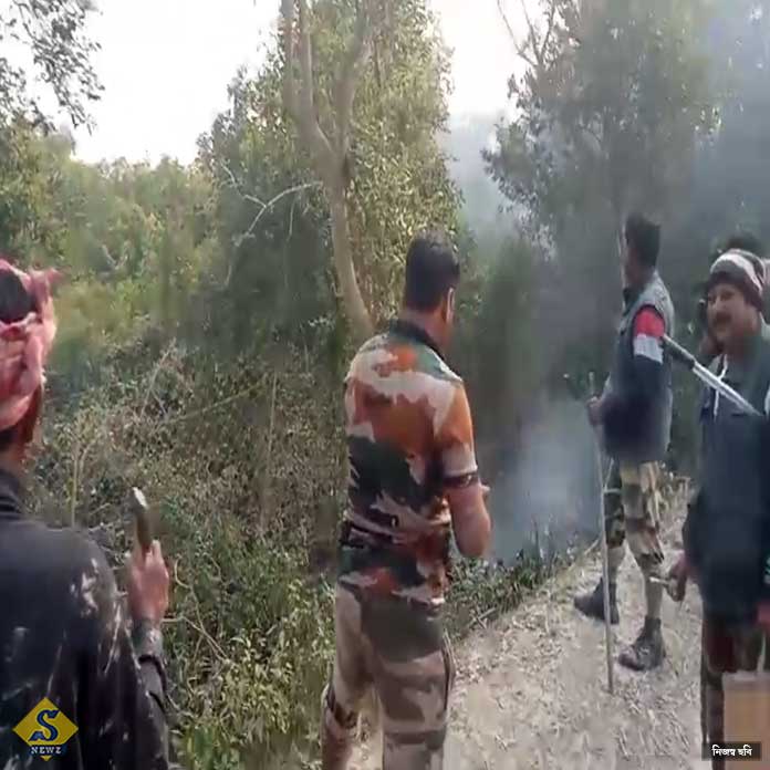 জঙ্গলে ফিরল বাঘ,হাঁফ ছেড়ে বাঁচল কুলতলি