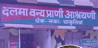 জঙ্গলে বাঘ, স্বস্তিতে কুলতলি, পুরুলিয়ায় আতঙ্ক