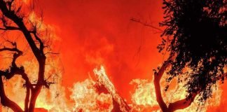 দাবানল: লস অ্যাঞ্জেলসে বাড়ছে ক্ষোভ