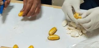 দিল্লি এয়ারপোর্টে ২৫ কোটির কোকেন বাজেয়াপ্ত, ধৃত ২