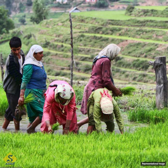 Dhandhanya-Krishi-Yojana-for-1.7-crore-farmers