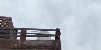 মাদকচক্রের বিরুদ্ধে বুলডোজার পাটিয়ালায়