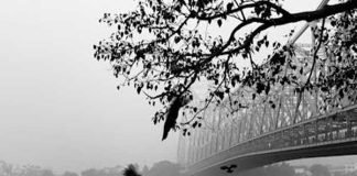 ফেব্রুয়ারির শীতলতম ভোর, তবে বাড়বে পারদ