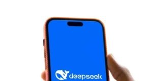 যেভাবে ডিপসিক অ্যাপ ব্যবহার