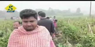 বারাসতে মুন্ডু কাটা দেহ, সঙ্গে যৌনাঙ্গও