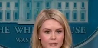 মার্কিন মদে ১৫০% শুল্ক, ভারতকে তোপ আমেরিকার