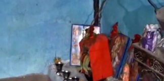 তন্ত্র বিদ্যা শিখতে শিশুকে বলির চেষ্টা, গ্রেফতার অভিযুক্ত