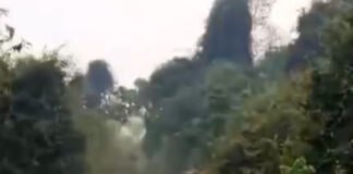 মালবাজারে জাতীয় সড়কে হাতি হানা, বাঁচলেন যাত্রীরা