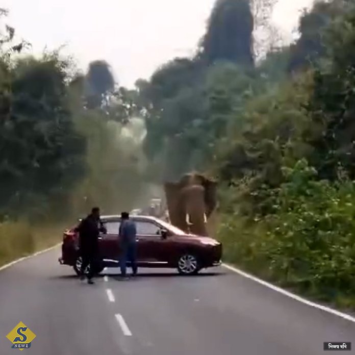 মালবাজারে জাতীয় সড়কে হাতি হানা, বাঁচলেন যাত্রীরা