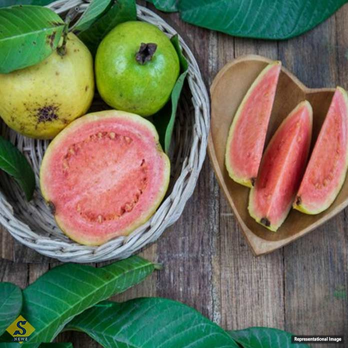 ওজন-ডায়াবেটিস, নিয়ন্ত্রণে রাখবে পেয়ারা