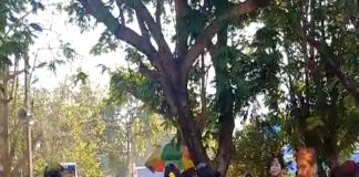পুলিশ অভয় দিতেই রঙিন সোনাঝুড়ি