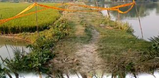 মাছের ভেড়িতে মহিলার অর্ধনগ্ন দেহ, ডালখোলায়ও