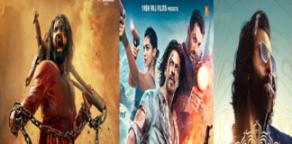 পাঠান-অ্যানিমেলকে টপকে গেল ভিকির ‘ছাভা’