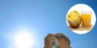 হিট স্ট্রোকের ঝুঁকি কমায় বেল