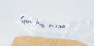 আইএসএসে মিসো বানালেন গবেষকরা