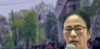 যোগ্য-অযোগ্য ভুলে ক্লাসে ফিরুন, বেতন সরকার দেবে: মুখ্যমন্ত্রী