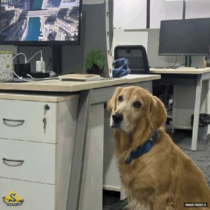 Chief-Happiness-Officer