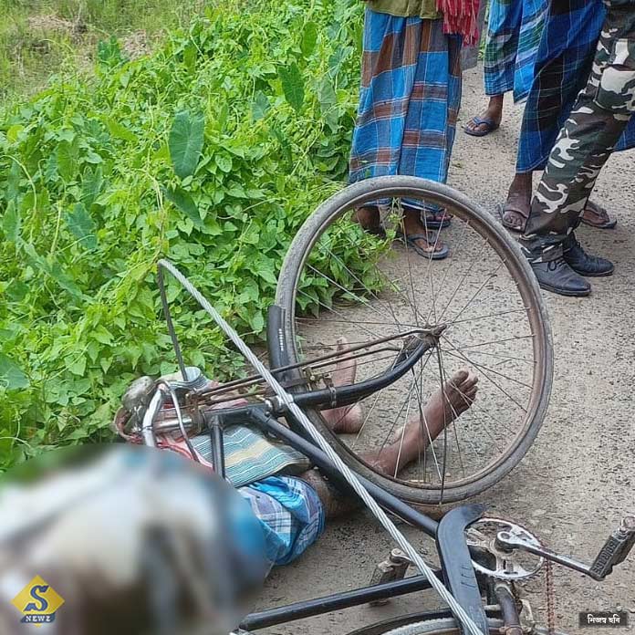 ঢেঁড়স তুলতে গিয়ে বিদ্যুৎস্পৃষ্ট কৃষক