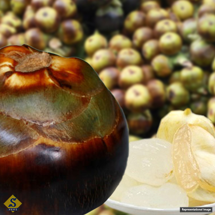 গরমে তালের শাঁস খাওয়া উপকারী 