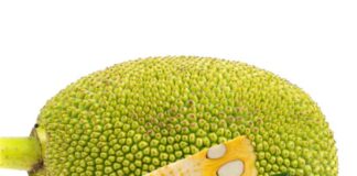 গরমে রোগের দাওয়াই কাঁঠাল