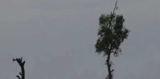 প্লাবিত বহু গ্রাম, বিদ্যুৎহীন ৭ লক্ষাধিক মানুষ