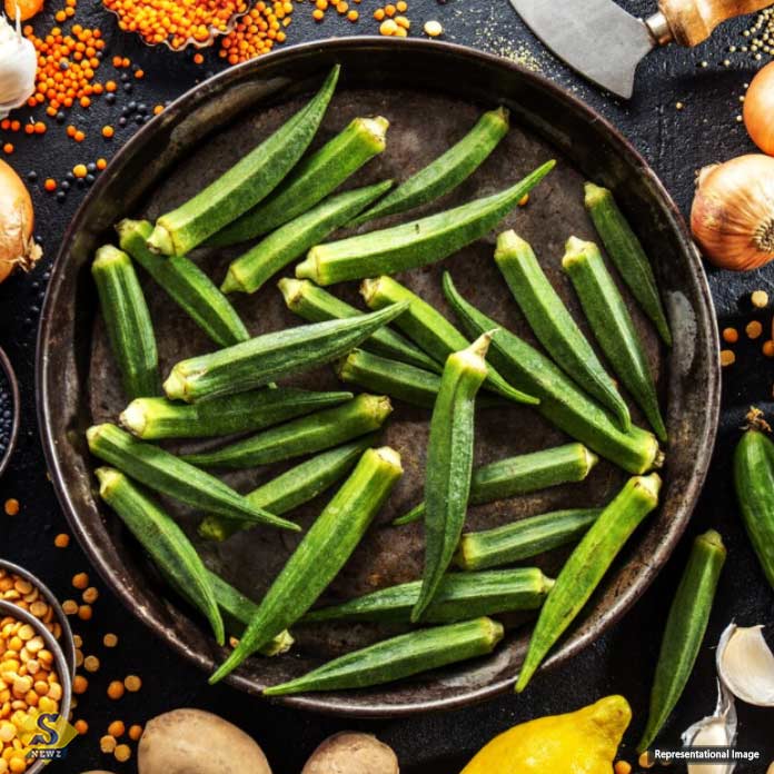 Nutritious-summer-vegetable-Okra