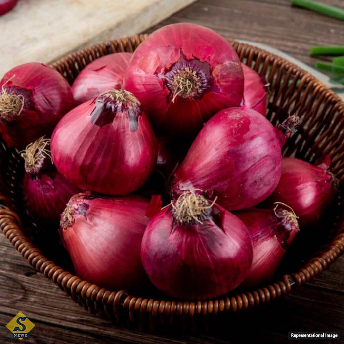 Onion