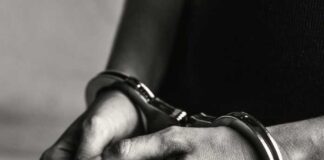 পাঠানকোটে গ্রেফতার এক পাক অনুপ্রবেশকারী