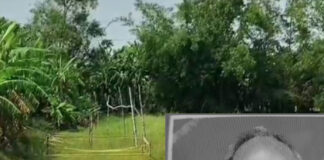 বজবজে কৃষককে পিটিয়ে খুন