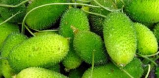 পালংশাকের পুষ্টিগুণ