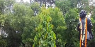 আইইডি দিয়ে উড়ানো হবে স্বাস্থ্যভবন, হুমকি মেলে হুলুস্থূল