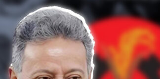 বিএনপি ক্ষমতায় এলে ১৮ মাসে ১ কোটি কর্মসংস্থান: আমির খসরু