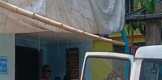 আম বড়, না প্রাণ! এবার কোন্নগরে আক্রান্ত কিশোর