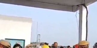 ‘ড্রোন হামলা’-র মহড়ায় মৌমাছি হানা!
