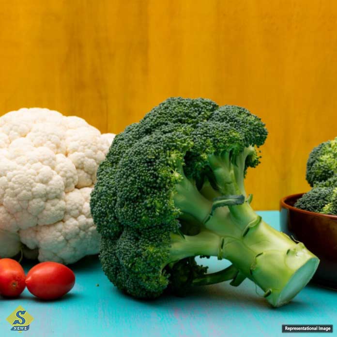 Foods-to-reduce-the-risk-of-cancer