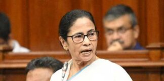 হাফ মিনিস্টার, হাওয়াই চটির দোকান দিক : মুখ্যমন্ত্রী
