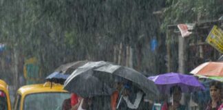 বঙ্গোপসাগরে নতুন নিম্নচাপ, তুমুল বৃষ্টি কলকাতায়