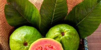 ডায়াবেটিকদের জন্য পেয়ারা