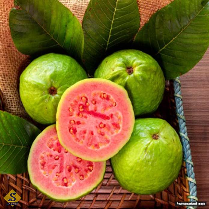 Guava-for-diabetics
