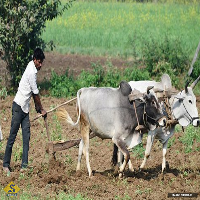 Madhya-Pradesh-farmer's-income-3-rupees-a-year!