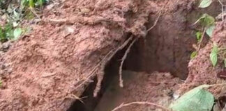 পুরুলিয়া সীমানায় ঝাড়খণ্ডে মাওবাদী অস্ত্রভান্ডার