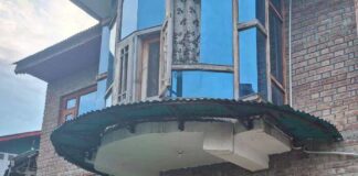 জম্মু-কাশ্মীরের ১০ এলাকায় চলছে ব্যাপক চিরুনি তল্লাশি
