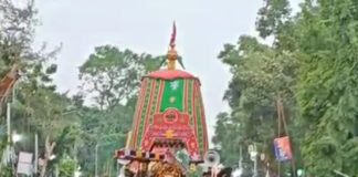 বাড়ি ফিরলেন জগন্নাথ, মাহেশ-মহিষাদলে ভক্তের ঢল