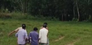 বেহাল রাস্তা, ক্যাম্প খাটে হাসপাতাল থেকে বাড়ি ফিরলেন বৃদ্ধা