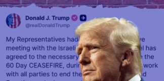 গাজায় ৬০ দিনের যুদ্ধবিরতিতে রাজি ইজরায়েল, দাবি ট্রাম্পের