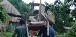 খাটিয়ায় ক্যান্সার আক্রান্ত, বেহাল রাস্তার লজ্জার ছবি নবগ্রামে