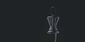 এআই দাবা : মাস্কের গ্রক’কে হারাল চ্যাটজিপিটি